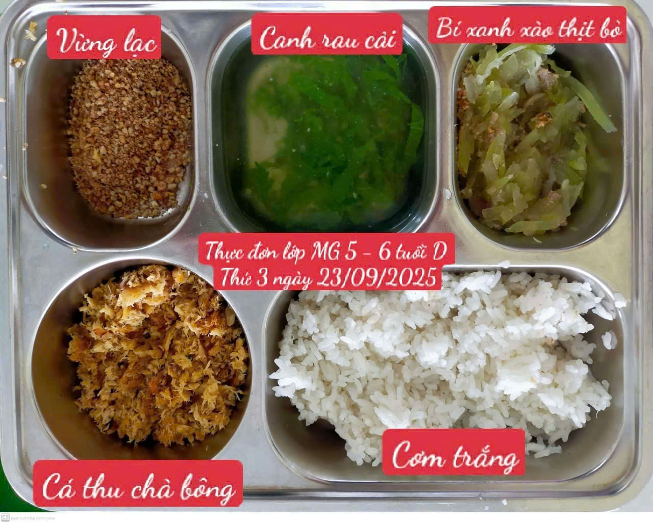 z7040840161337 64dda80ecae48650402e69592c75542a