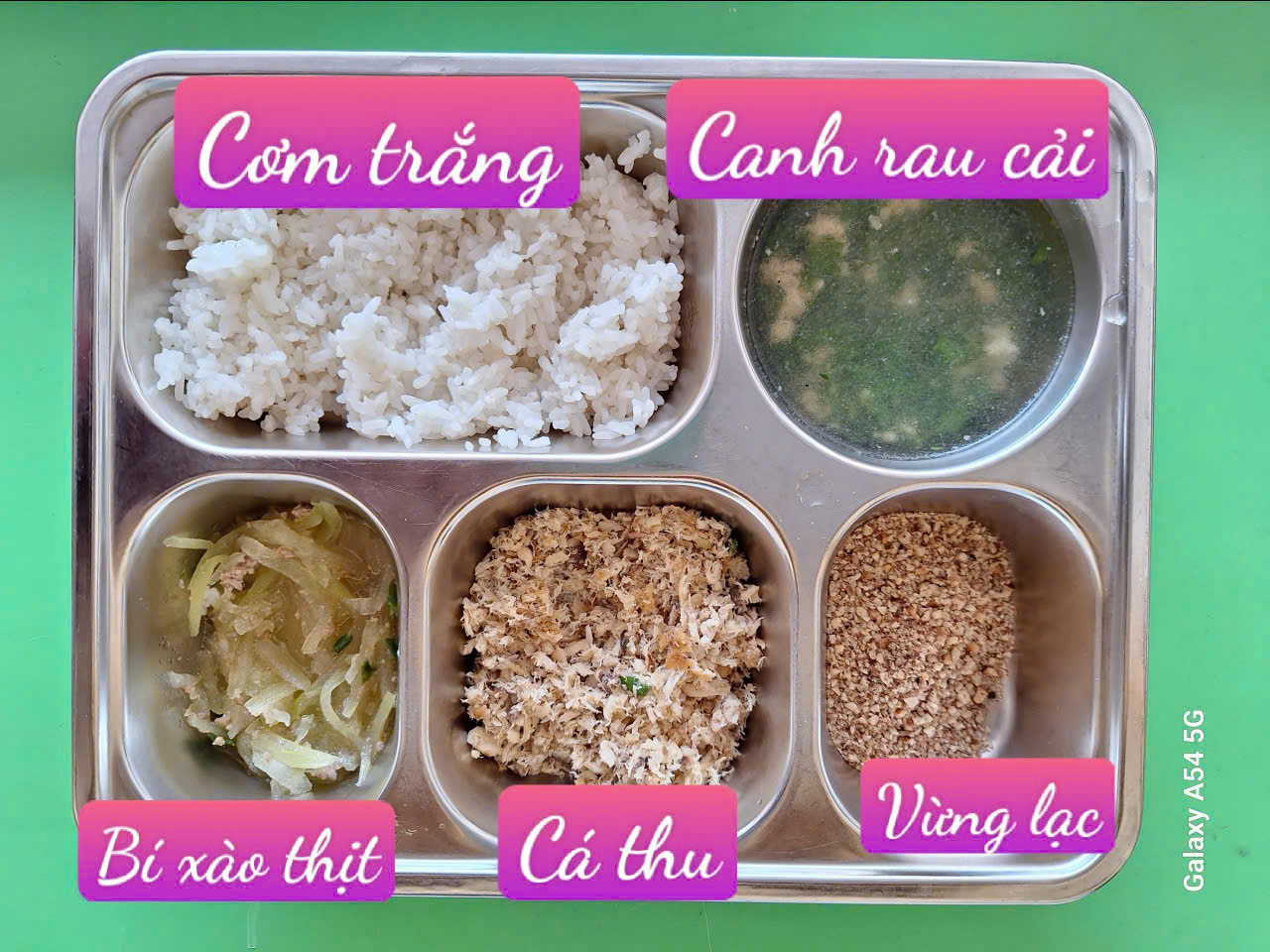 z7017457825092 dd3b21c262d8d525248a28f0eaa26865